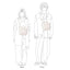 CIE-DUCK CANVAS TOTE - S SIZE -