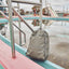 CIE - GRID3  BACKPACK LIMITED EDITION - RAIN CAMO -
